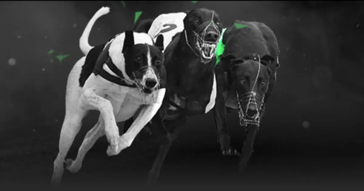 世界杯前瞻,西甲升降级,悬念揭晓,MANBETX万博赞助,体育赞助平台,赛事合作资讯,足球赛事赞助,品牌合作信息